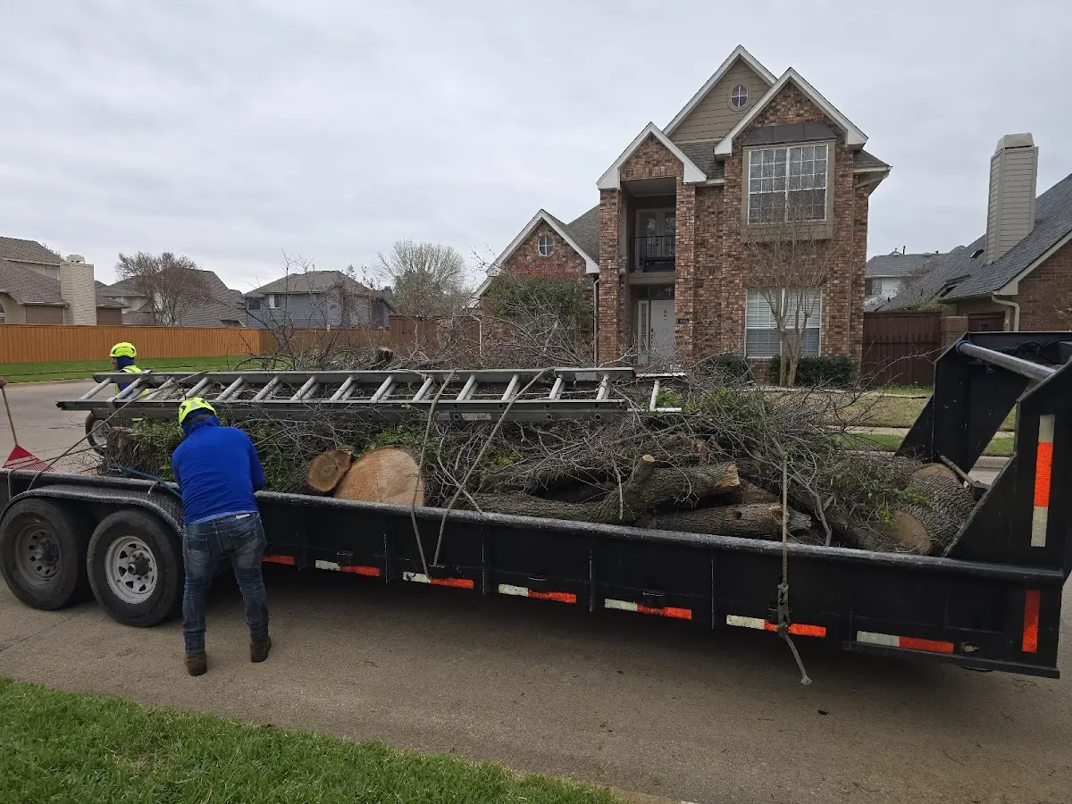 Expert Tree Fertilization with proper safety equipment in Meadow Valley